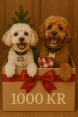 🎁 Julegaven til din bedste ven – 1000 kr