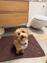 Doksie Towel 01 - Luksus håndklæde til hunde