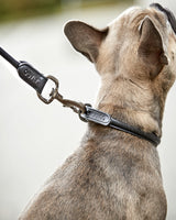 Catago rundsyet læder hundesnor 2 Meter