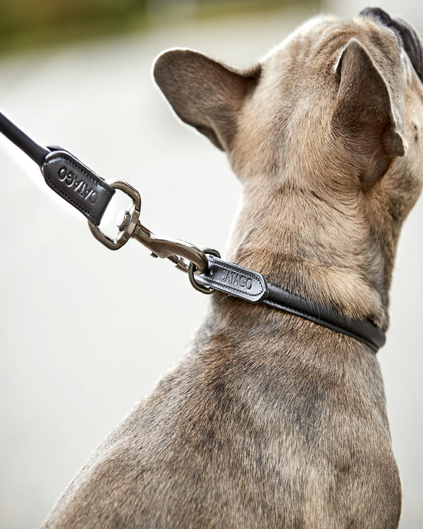 Catago Rundsyet læder hundesnor 1.5 Meter