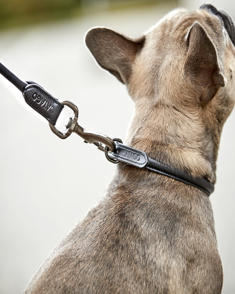 Catago rundsyet læder hundesnor 2 Meter