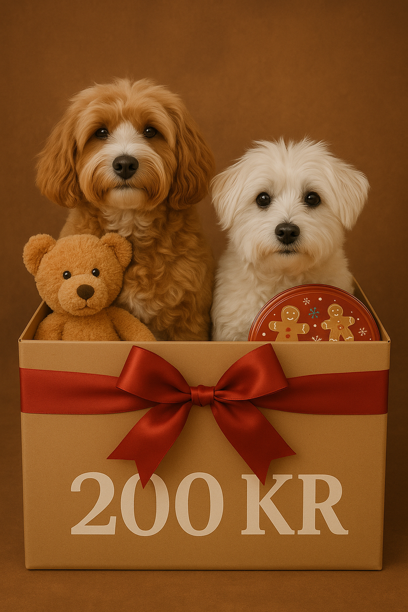 🎁 Julegaven til din bedste ven 200 kr (inkl fragt)