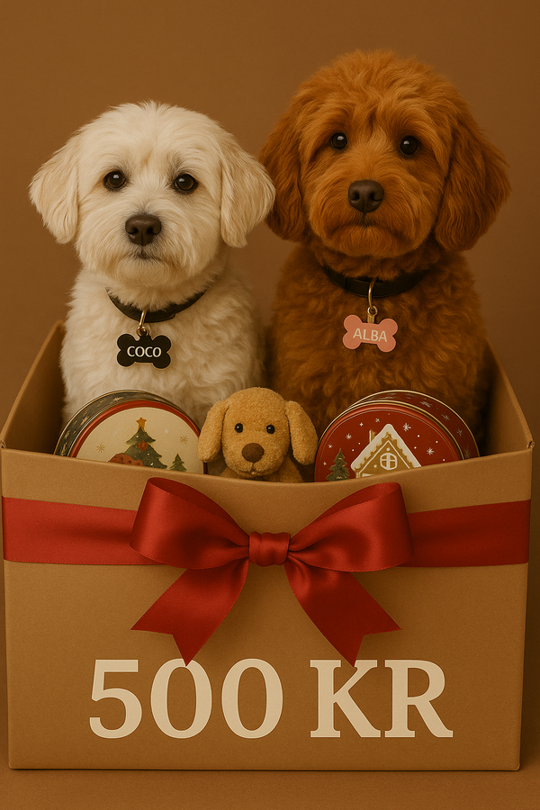 🎁 Julegaven til din bedste ven – 500 kr