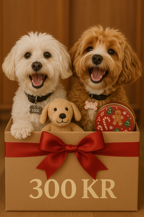 🎁 Julegaven til din bedste ven – 300 kr (inkl fragt)