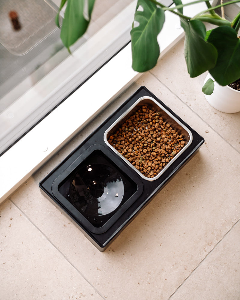 Doksie Home H2 - Hundeskål stativ med anti spild vandskål