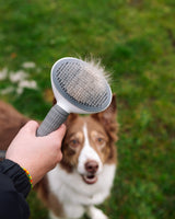 Spa-dag til hunden - Doksie Inno I4 hundebørste