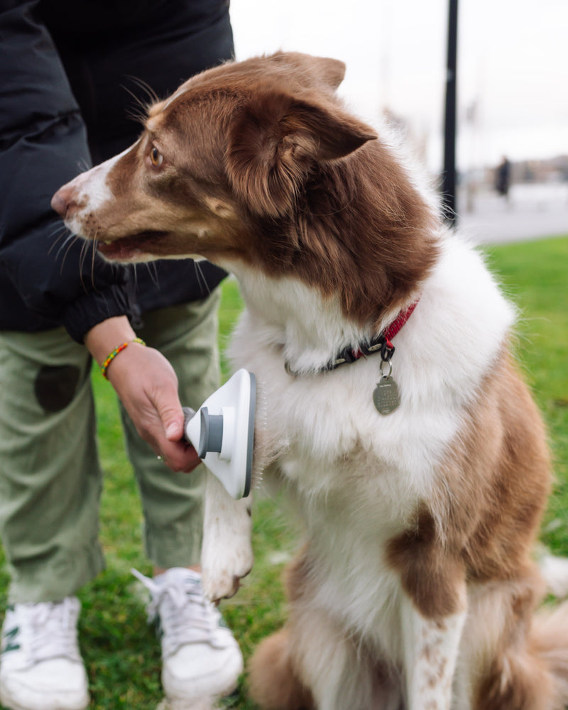 Doksie Inno I4 - Smart hundebørste med antislip funktion