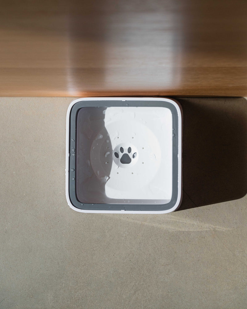 Doksie Auto A2 - Smart spildfri vandskål til hund