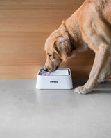 Doksie Auto A2 - Smart spildfri vandskål til hund