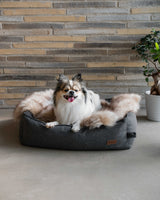 Doksie Cloud C6 - Blødt hundetæppe til sofa, hundensengen eller gulvet