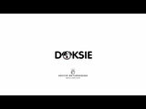 Doksie Cloud C5 - Smart bilsæde til hund